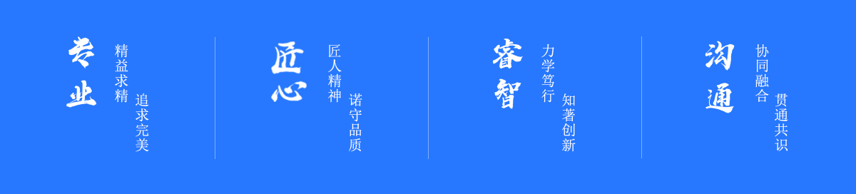 团队背景